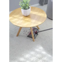 Die moderne Hausfrau Akku-Kehrbesen 