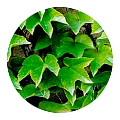 Die moderne Hausfrau Allzweck-Abdeckplane 