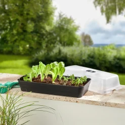 Die moderne Hausfrau Anzuchtbeet mit Haube „2 in 1“