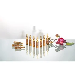 Die moderne Hausfrau ﻿Bio-Vital "Schwarze Orchidee"