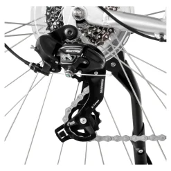 Die moderne Hausfrau City E-Bike 