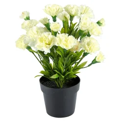 Die moderne Hausfrau Deko-Nelke weiß