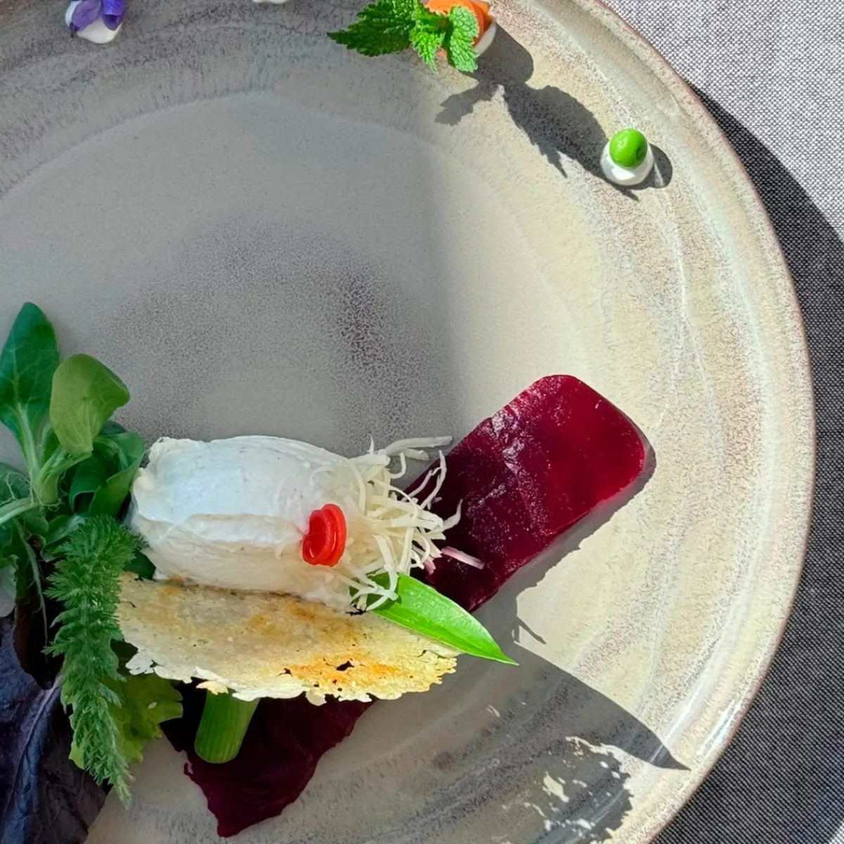 Die moderne Hausfrau Dessertteller-Set, Steinzeug Nebelwald