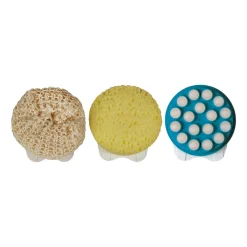 Die moderne Hausfrau Eincremehilfe mit Schwamm- und Sisalaufsatz, 3-teilig