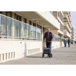 Die moderne Hausfrau Einkaufsrollator Rollz Flex mit Sitz und Tasche, faltbar Jungle Green