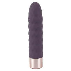 Die moderne Hausfrau Elegant Vibrator Dia