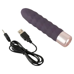 Die moderne Hausfrau Elegant Vibrator Dia
