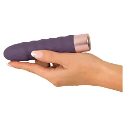 Die moderne Hausfrau Elegant Vibrator Dia