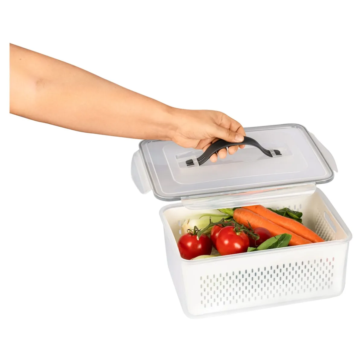 Die moderne Hausfrau Frischhaltebox "Gemüse", 7 l