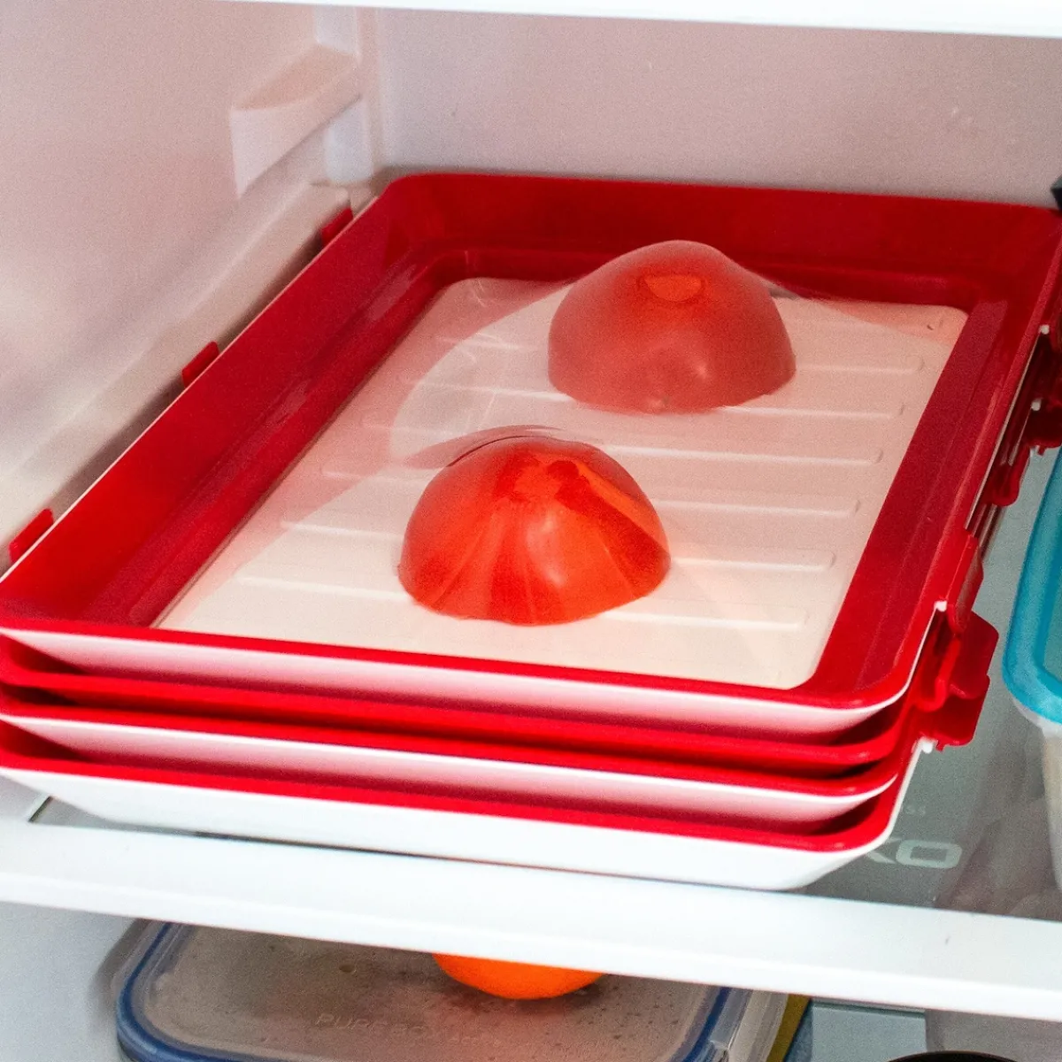 Die moderne Hausfrau Frischhaltesystem "Clever Tray" 30 x 23 x 2 cm, 2 Stück