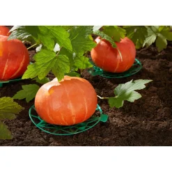 Die moderne Hausfrau Gemüse-Reifer, 10 Stück