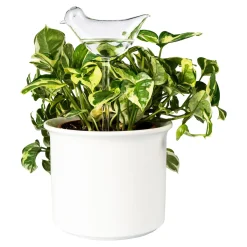 Die moderne Hausfrau Glas-Bewässerungshilfe „Vögel“, 2 Stück