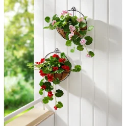 Die moderne Hausfrau Hängegeranie im Metallgestell rot