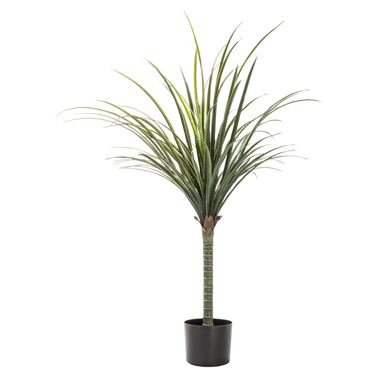 Die moderne Hausfrau Kunstpalme "Drachenbaum"