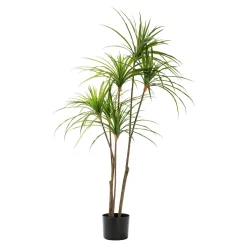 Die moderne Hausfrau Kunstpflanze "Dracaena"