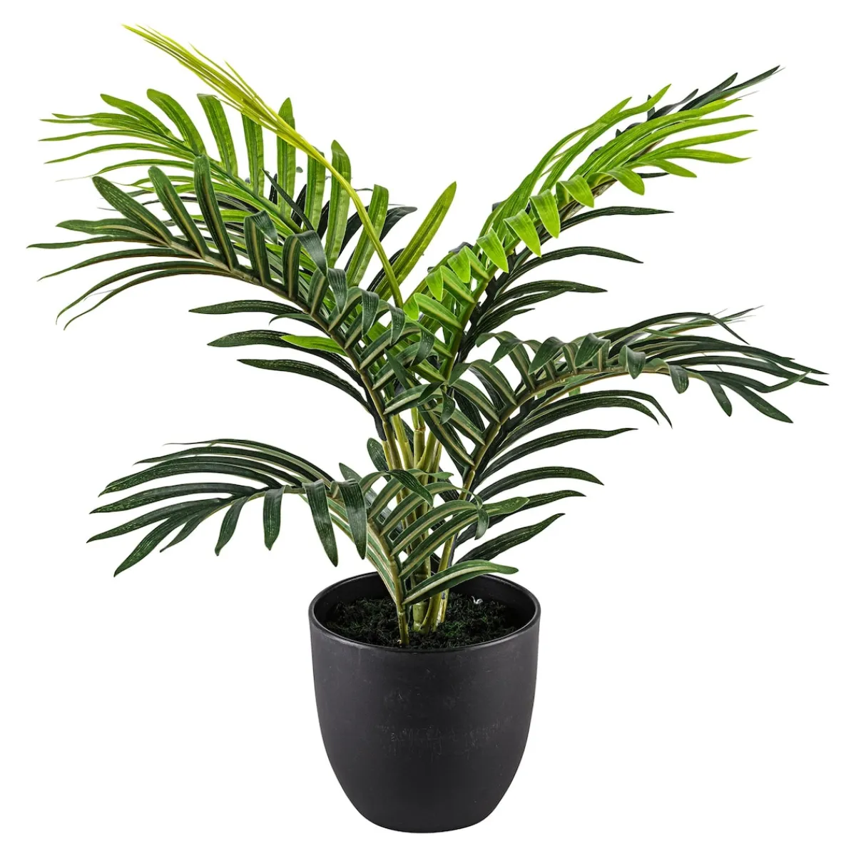 Die moderne Hausfrau Kunstpflanze „Goldfruchtpalme“