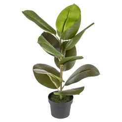 Die moderne Hausfrau Kunstpflanze „Gummibaum“