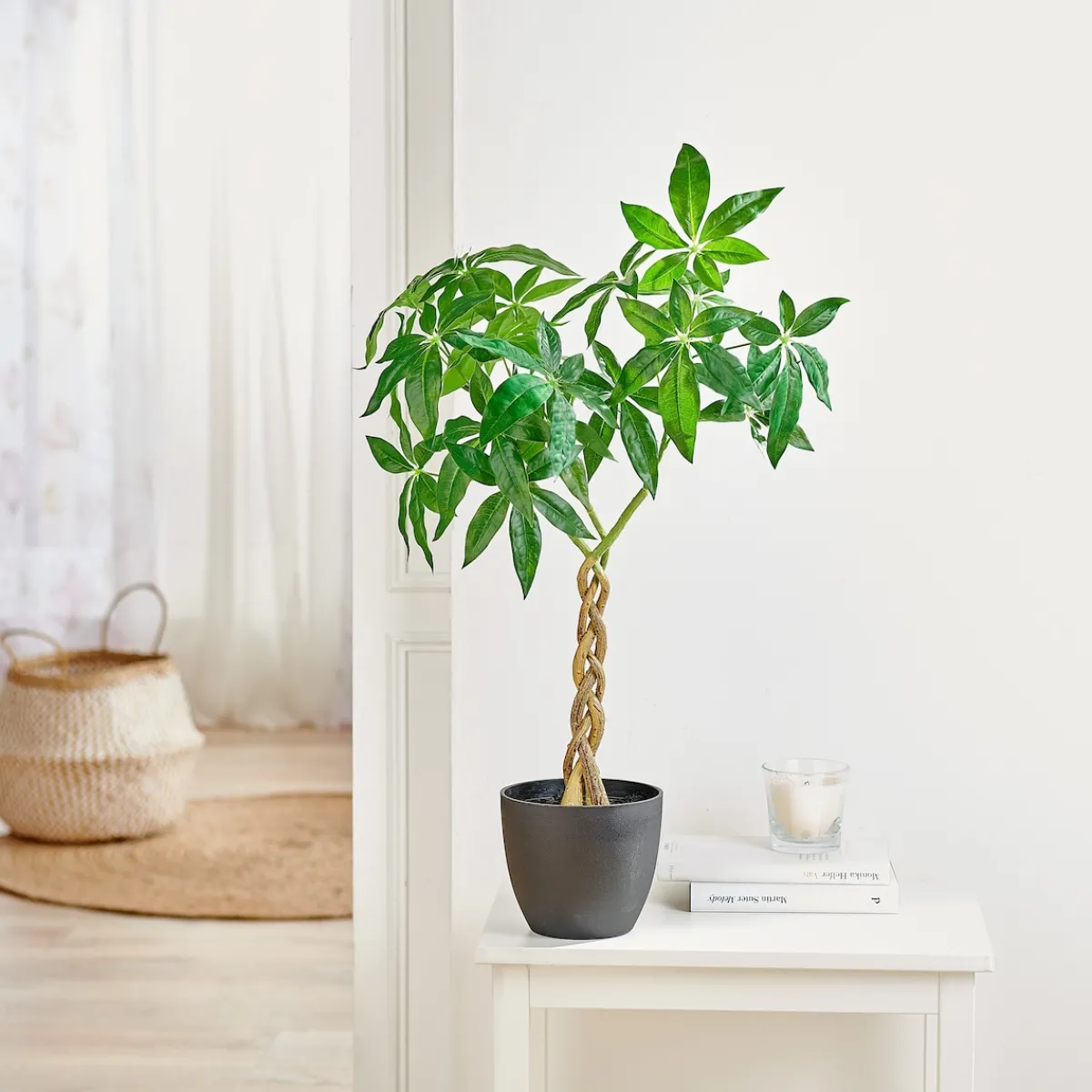 Die moderne Hausfrau Kunstpflanze mit Flechtstamm