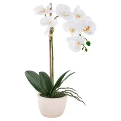 Die moderne Hausfrau Kunstpflanze "Weiße Orchidee"