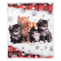 Die moderne Hausfrau Kuscheldecke ­„Katzen-Kindergarten“