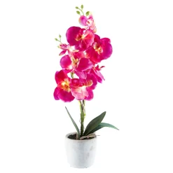 Die moderne Hausfrau LED-Orchidee