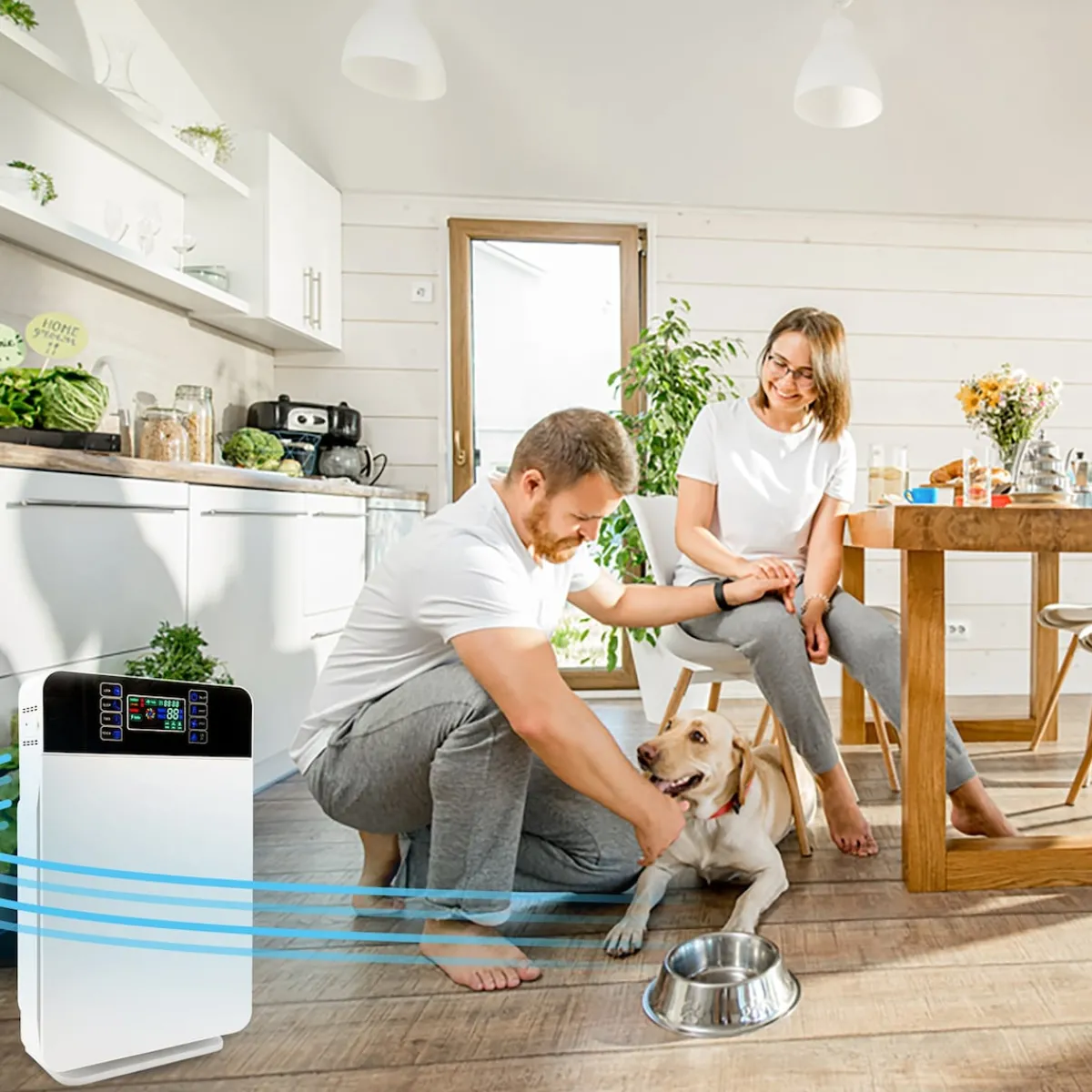 Die moderne Hausfrau Livington AirPurifier 6-in-1 Luftreiniger
