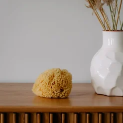 Die moderne Hausfrau Naturschwamm