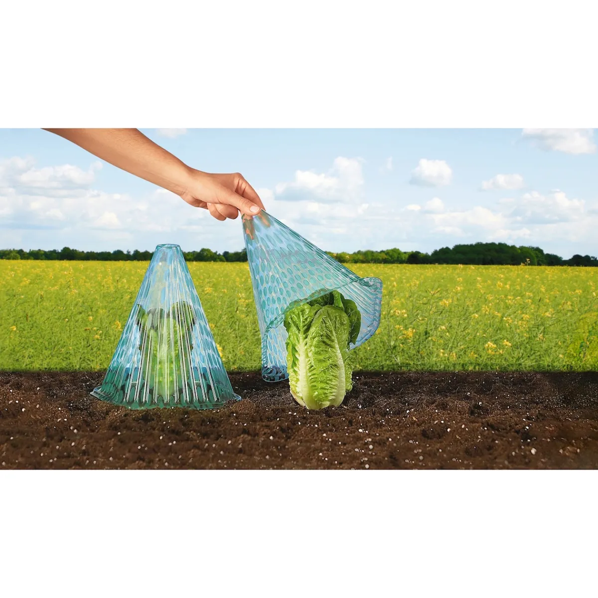 Die moderne Hausfrau Pflanzhaube, 10 Stück