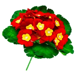 Die moderne Hausfrau Primel rot