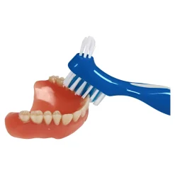 Die moderne Hausfrau Prothesen-Reinigungs-Set, 3-teilig