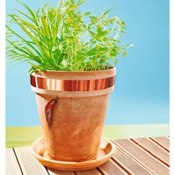 Die moderne Hausfrau Schneckenstopp-Band, 4,5 m