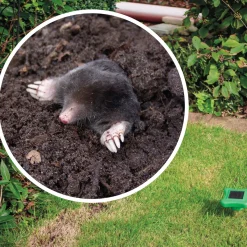 Die moderne Hausfrau Solar-Maulwurfschreck