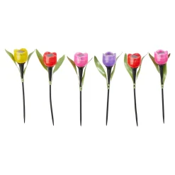 Die moderne Hausfrau Solar-Tulpen "Kunterbunt", 6 Stück
