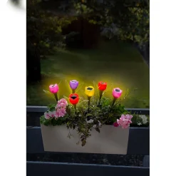 Die moderne Hausfrau Solar-Tulpen 