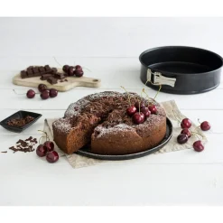 Die moderne Hausfrau Springform mit Flach- und Rohrboden Ø 26 cm