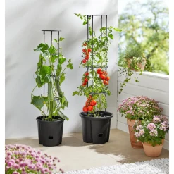 Die moderne Hausfrau Tomaten-Pflanztopf mit Rankhilfe L (ØxH): 35x128 cm