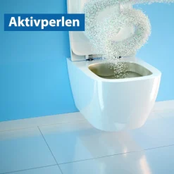 Die moderne Hausfrau WC-Pulver, 1 kg