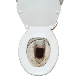 Die moderne Hausfrau WC-Tabs, 300 g