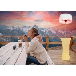 Die moderne Hausfrau Wärmepilz 